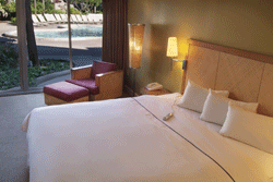 Radisson Resort Parkway Tropical Courtyard View: